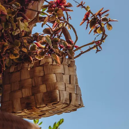 Вилла Posea Collection Ponente *