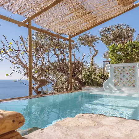 Posea Collection Ponente