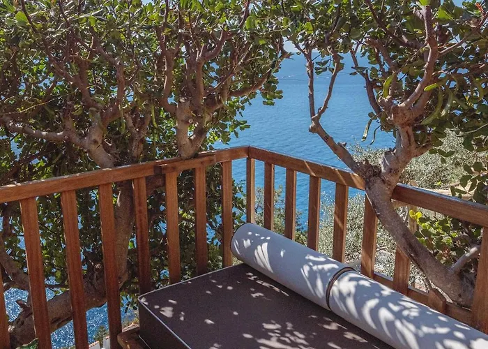 Posea Collection - Ponente