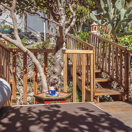 Posea Collection Ponente *